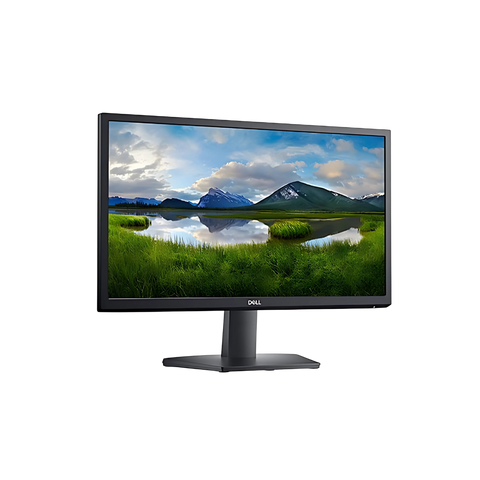 Dell SE2222H 22