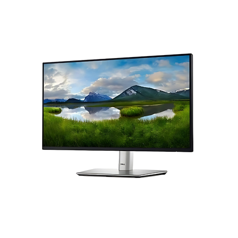 Dell 24 Monitor - P2422H - Full HD 1080p, IPS Technology, ComfortView Plus, Black