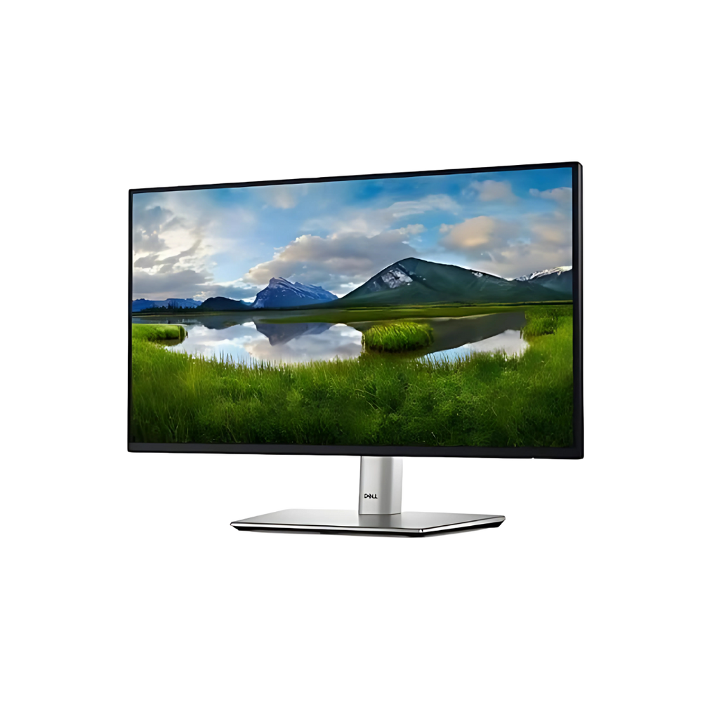 Dell 24 Monitor - P2422H - Full HD 1080p, IPS Technology, ComfortView Plus, Black