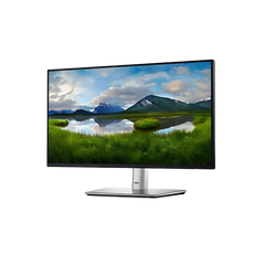 Dell 24 Monitor - P2422H - Full HD 1080p, IPS Technology, ComfortView Plus, Black